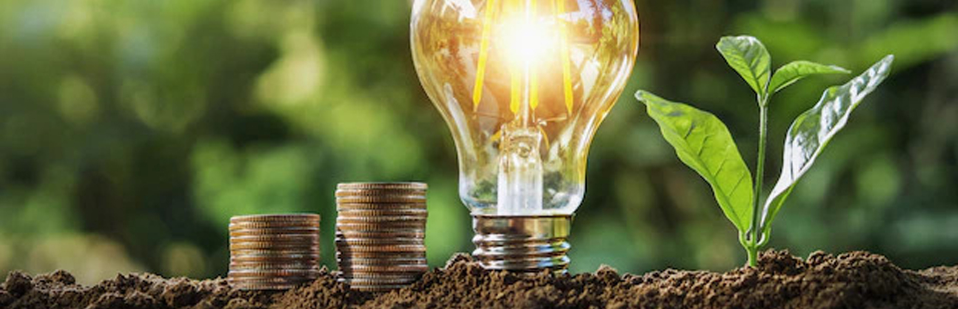 Que Es El Foco En Las Inversiones