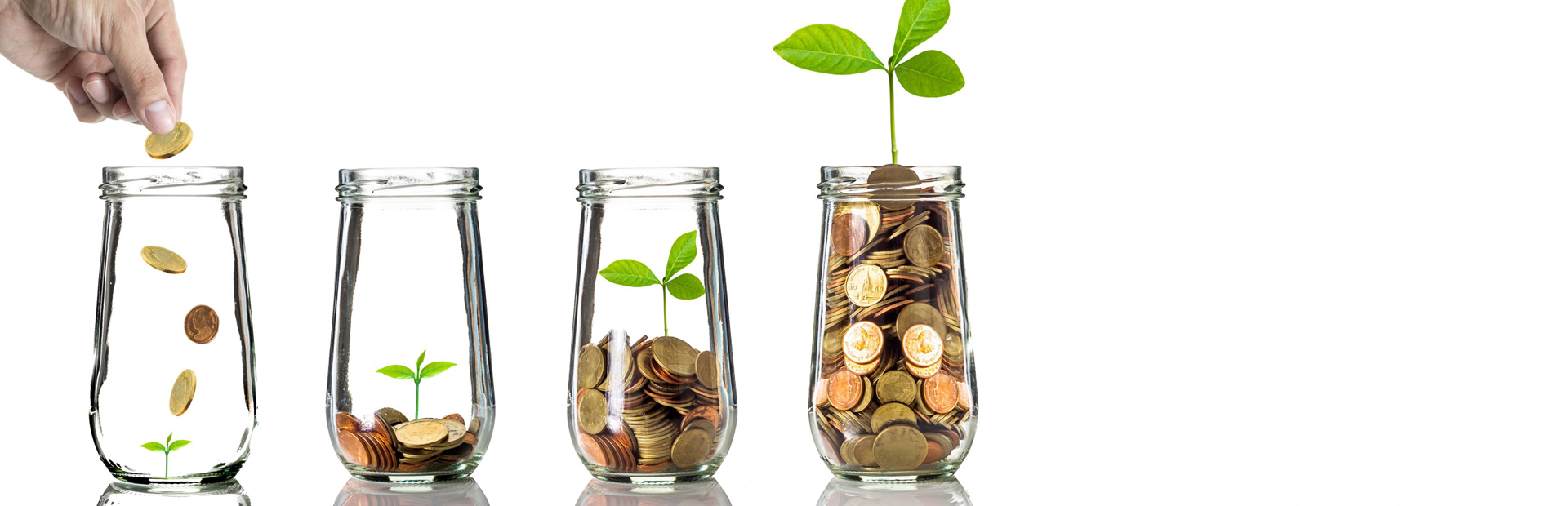 Como Diversificar Mis Inversiones